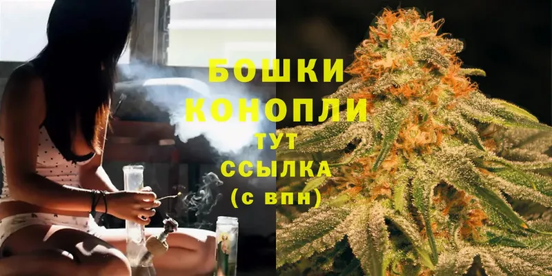 купить наркотик  Андреаполь  Шишки марихуана Amnesia 